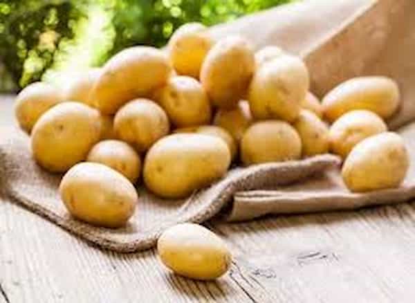 تصویر 2 از خرید سیب زمینی زرد اردبیل + قیمت فروش استثنایی